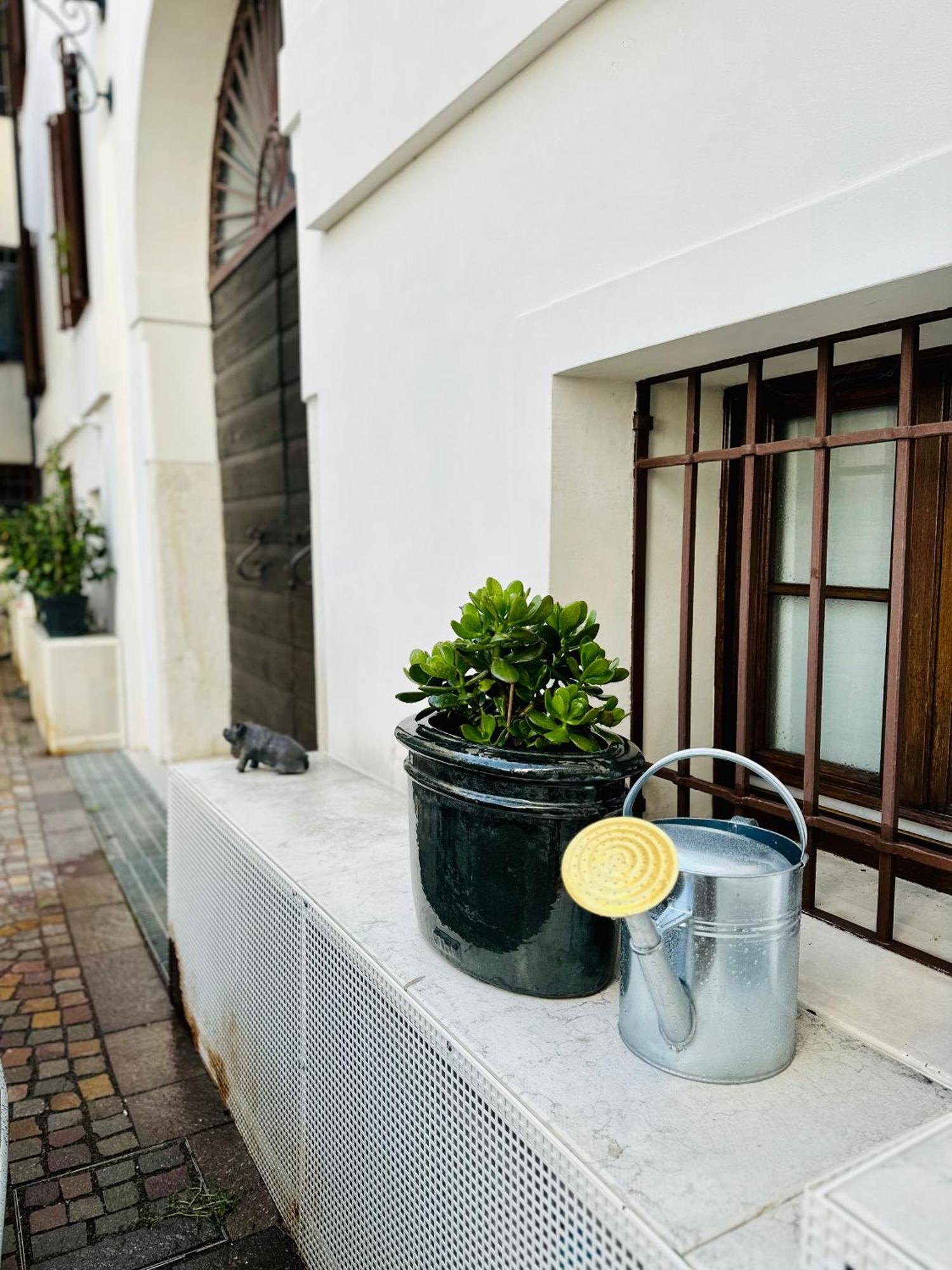 Ferienwohnung Ca' Degli Uberti Dimora Storica Treviso Exterior foto